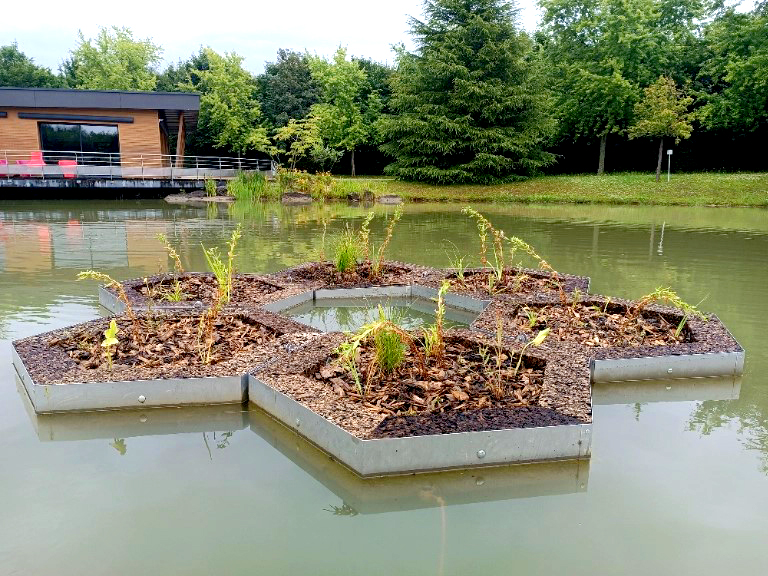 aloe-vegetalises-frayere-immergee-en-etang (1)B